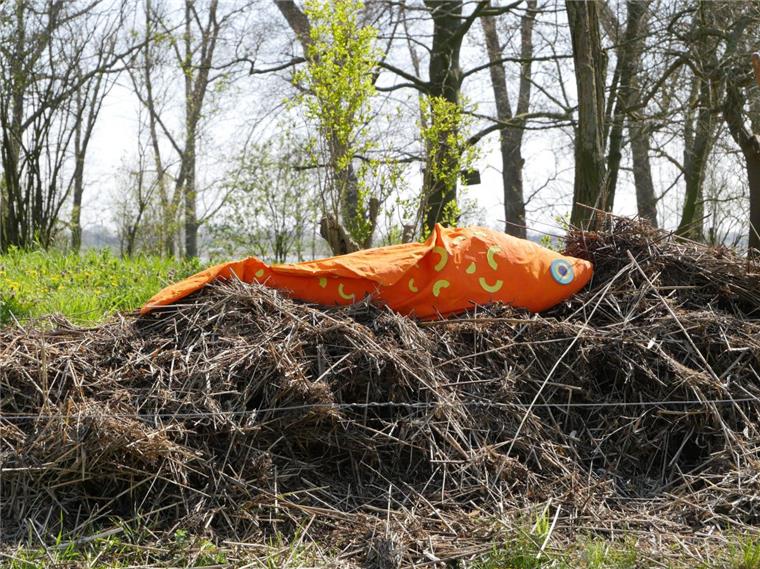 Auf der Strohauser Plate wurde Treibsel gesammelt, um die bunten Fische aus Stoff auszustopfen.