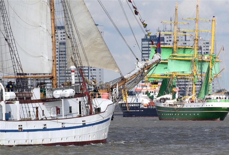 Schiffsparade erreicht Bremerhaven Mehrere Schiffe auf der Weser vor Bremerhaven.