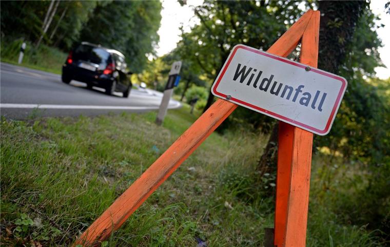 Auf der Wurster Straße in Bremerhaven hat sich ein Wildunfall (Symbolfoto) ereignet.