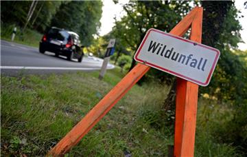 Auf der Wurster Straße in Bremerhaven hat sich ein Wildunfall (Symbolfoto) ereignet.