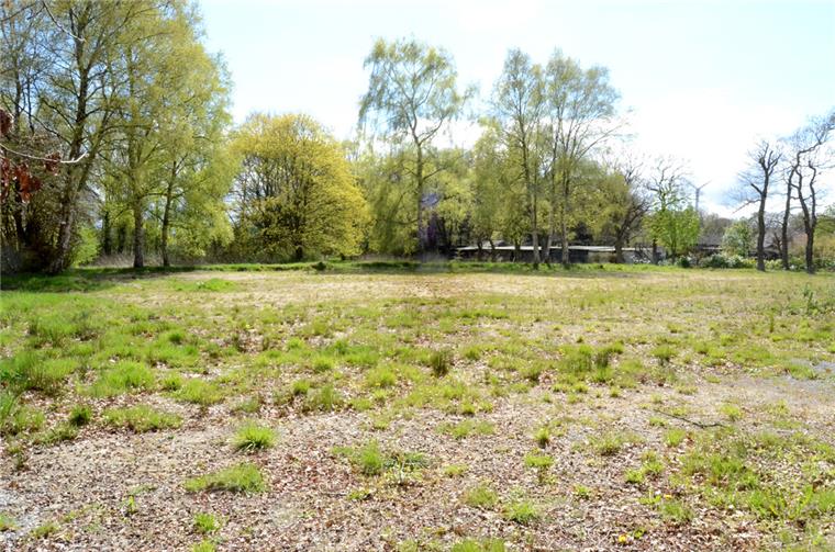 Auf diesem Grundstück an der Robert-Koch-Straße in Spaden haben einmal die Gebäude der Elbe-Weser-Werkstätten gestanden. Nun sollen dort im vorderen Bereich Baugrundstücke entstehen.