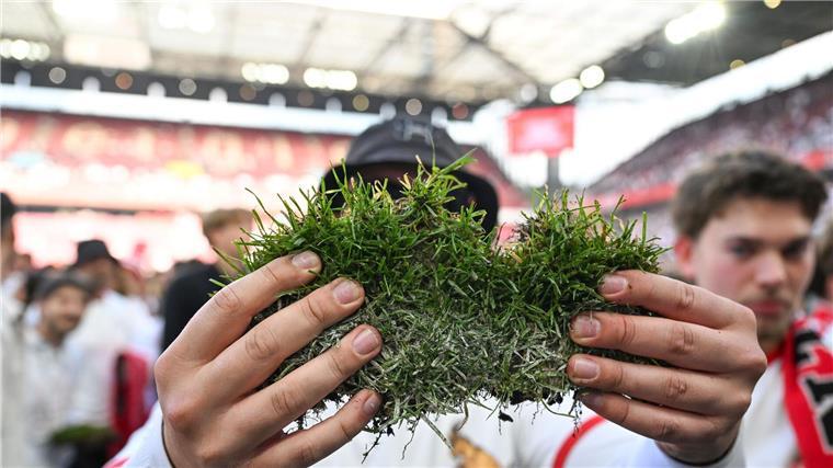 Stadion-Rasen zu verkaufen Auf diesem Stück Rasen machte der 1. FC Köln den Aufstieg perfekt.