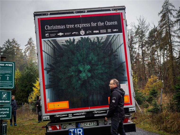 Auf einem LKW ist bei Coburg (Bayern) die Aufschrift «Christmas tree express for the Queen» (Christbaum-Express für die Queen) zu lesen. Eine Nordmanntanne tritt den weiten Weg nach Schloss Windsor an, wo die Tanne als Weihnachtsbaum für die Queen Elisabeth II dienen wird.