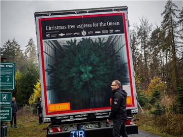 Auf einem LKW ist bei Coburg (Bayern) die Aufschrift «Christmas tree express for the Queen» (Christbaum-Express für die Queen) zu lesen. Eine Nordmanntanne tritt den weiten Weg nach Schloss Windsor an, wo die Tanne als Weihnachtsbaum für die Queen Elisabeth II dienen wird.