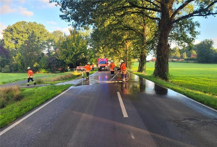 Zwei Pferde sterben bei Unfall auf B440 Auf einer Länge von rund 100 Metern musste die Feuerwehr die Straße reinigen.