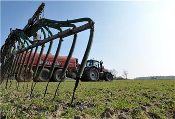 Auf Flächen in den roten Gebieten dürfen die Bauern ab Frühjahr deutlich weniger Stickstoff ausbringen.