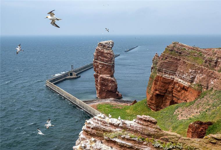 Auf Helgoland muss eine Bombe entschärft werden.