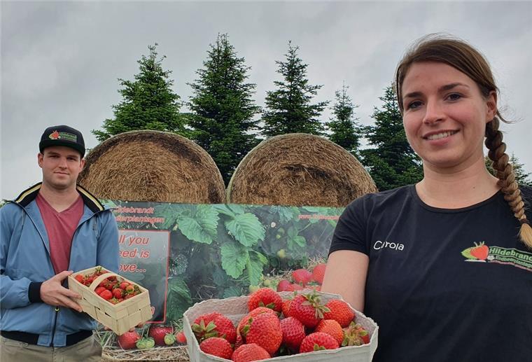 Auf Hildebrandts Erdbeerplantagen in Kirchwistedt laden Carola und Christian Hildebrandt zum Selberpflücken ein.