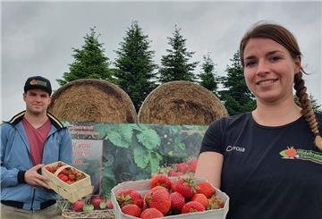 Auf Hildebrandts Erdbeerplantagen in Kirchwistedt laden Carola und Christian Hildebrandt zum Selberpflücken ein.