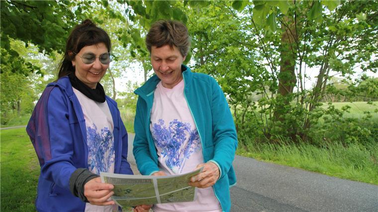 Kohlgeheimnis: Warum zwei Berlinerinnen an der Nordseeküste Wiesenkümmel suchen