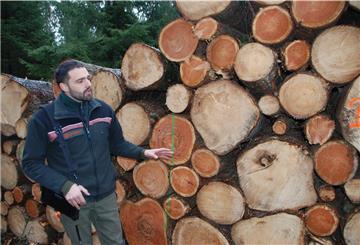 Auf Länge geschnitten und sauber aufgeschichtet. Revierförster Tobias Loewer weiß, dass es im Wald nicht nur um Naturschutz und Erholung geht, sondern auch um Wirtschaftlichkeit. Jede Ernte soll auch Geld bringen.