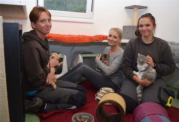 Drei Frauen sitzen auf dem Boden mit Katzen auf den Armen.
