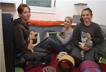 Drei Frauen sitzen auf dem Boden mit Katzen auf den Armen.