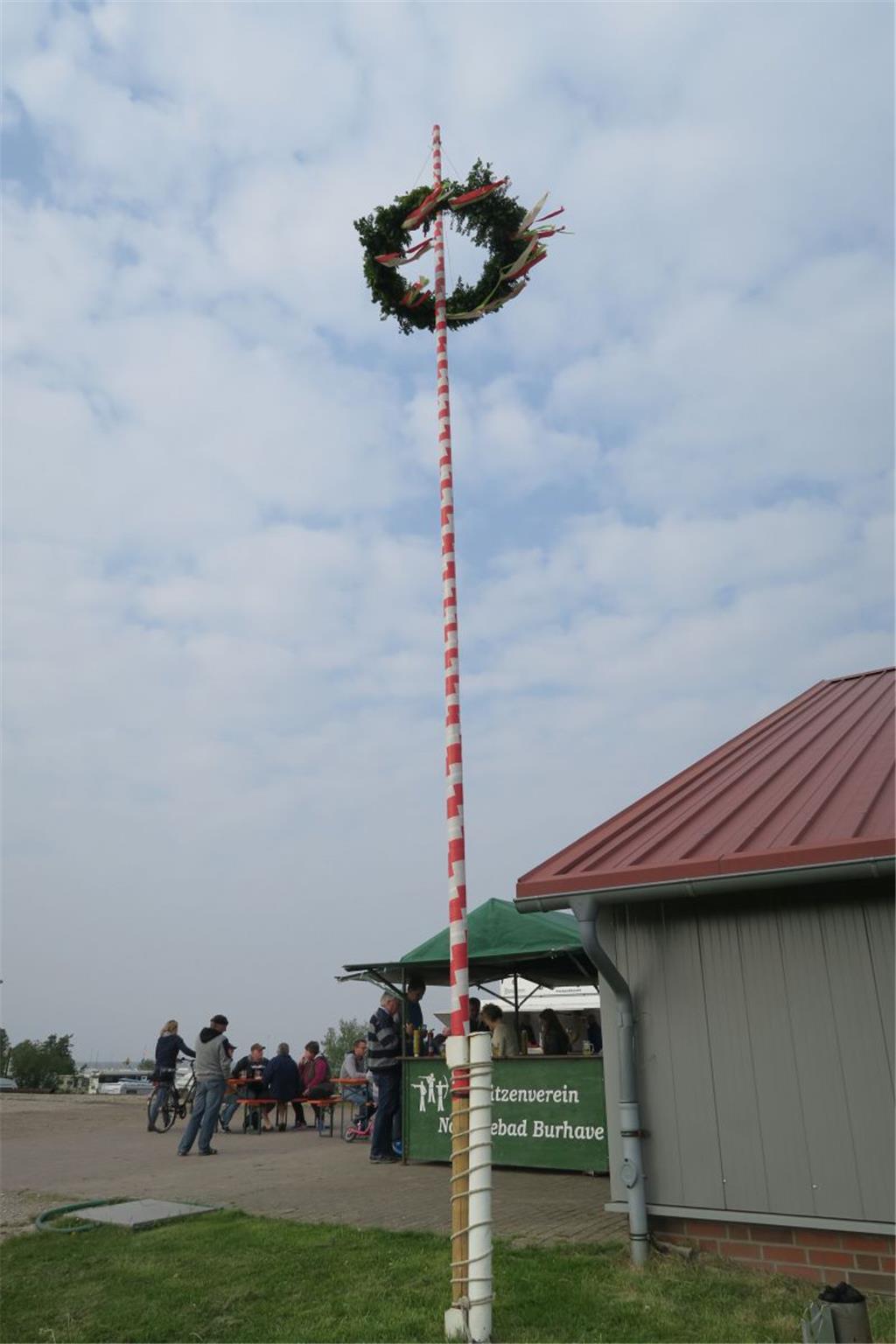 Auffällig gestreift ist der Fedderwardersieler Pfingstbaum.