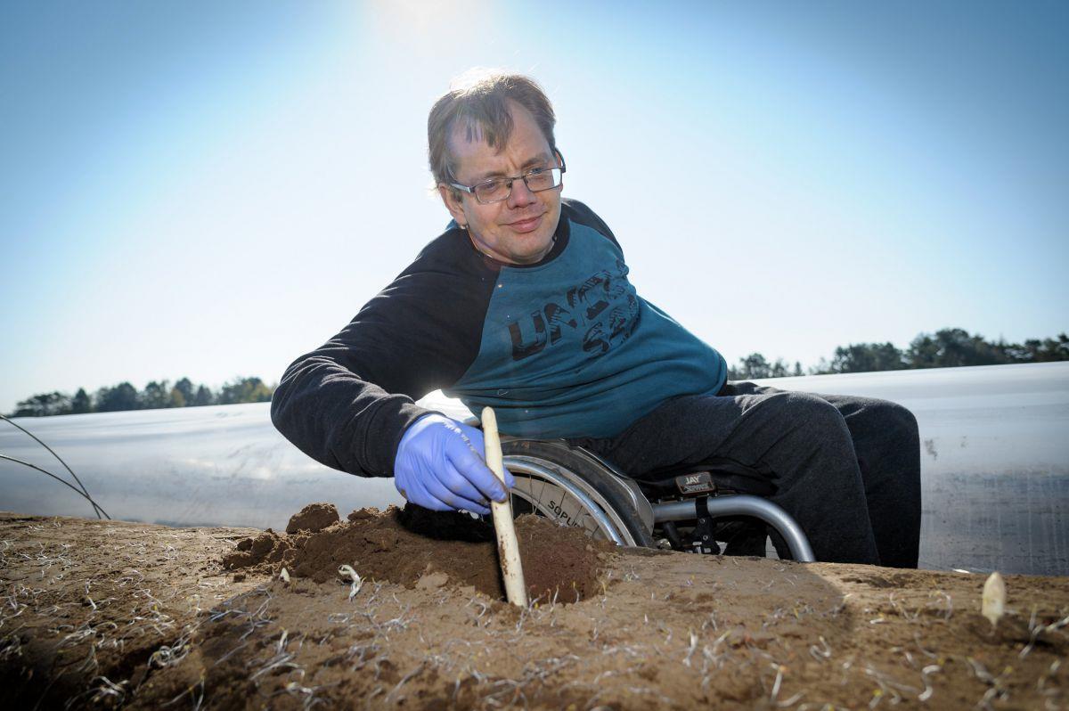 Hagen: Wie dieser Unternehmer mit Handicap einen Spargelhof managt Aus dem Rollstuhl heraus führt Sascha Appel den bekannten Spargelhof in Lohe. Auf dem Feld ist er selbst allerdings eher selten.