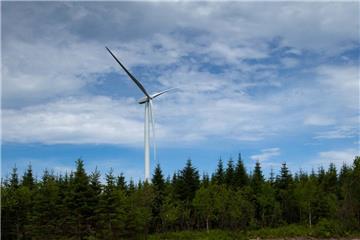 Aus dem Wald von Rivière Nouvelle ragt das erste Windrad vom Typ Senvion 3.2M114, hergestellt in Bremerhaven.  Foto MU Wind Farm