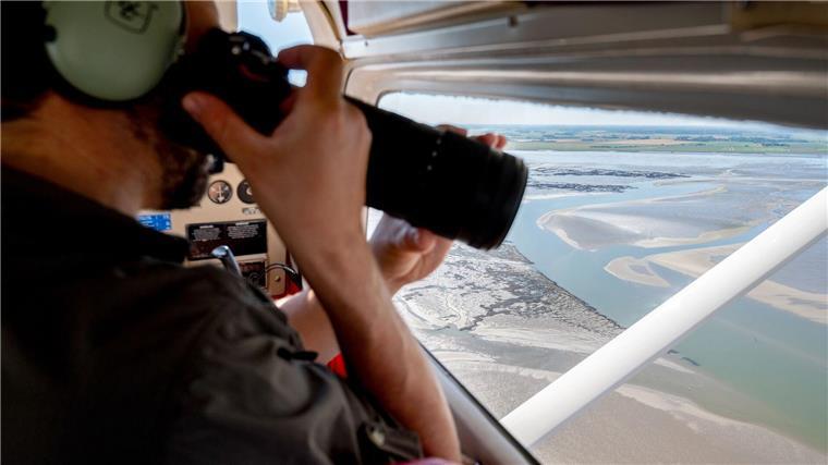 Aus der Luft zählen und fotografieren die Experten Alt- und Jungtiere, die sich bei Ebbe ausruhen. (Archivfoto)