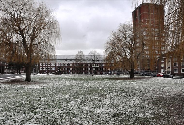 Corona: Stadt Nordenham flutet Eislauffläche nicht Aus der Wiese vorm Nordenhamer Rathaus wird keine Eislauffläche.