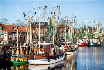  Zahlreiche Krabbenkutter liegen an einer Kaimauer in einem historischen Hafen.