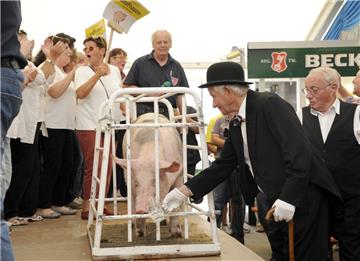 Ausnahmezustand beim Schweinemarkt in Dedesdorf. 