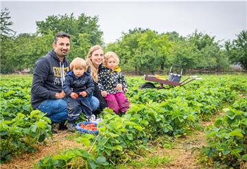 Auszeit vom Alltag an der frischen Luft: Familie Wehleit (von links), Mike, Jon, Christina und Ida aus Gnarrenburg haben viel Freude auch bei Regenwetter, Erdbeeren selbst zu pflücken. Foto: Hartmann