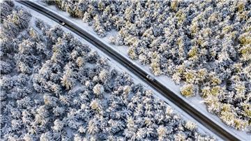 Autos fahren durch einen verschneiten Wald.