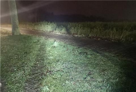 Autospuren im Rapsfeld: Ein noch unbekannter Autofahrer flüchtete nach einem Verkehrsunfall am Donnerstag durch ein Rapsfeld. 