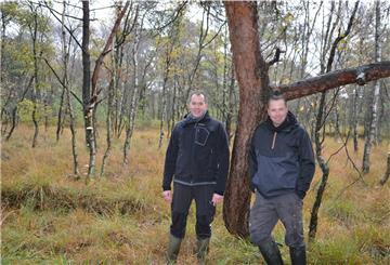 Zwei Männer stehen an einem Baum im Moor. 