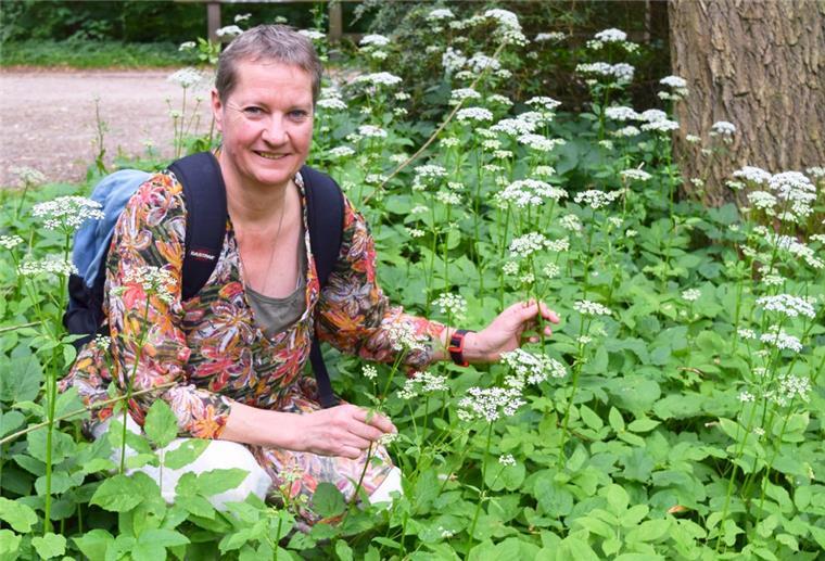 Bremerhavenerin zeigt, wie man mit „Unkraut“ kochen kann Babette Fischer kennt sich bestens mit essbaren Wildkräutern und -früchten aus.