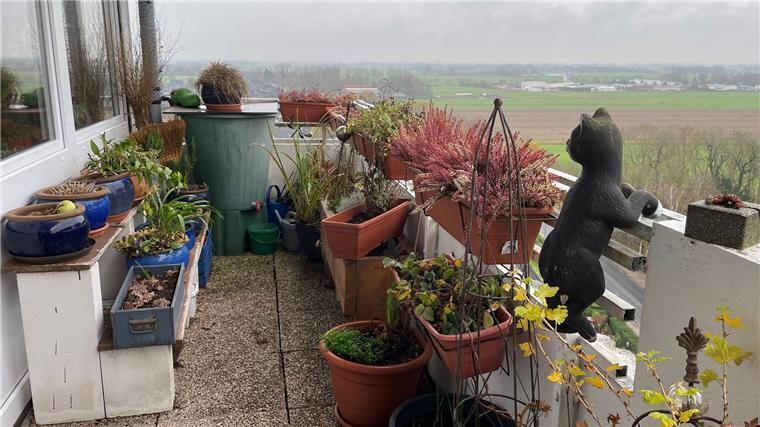 Bärber Wegners Balkon im 13. Stock. Wenn es stürmt, muss sie die Blumentöpfe anbinden oder reinholen, sonst fangen sie bei jeder Böe an zu tanzen.