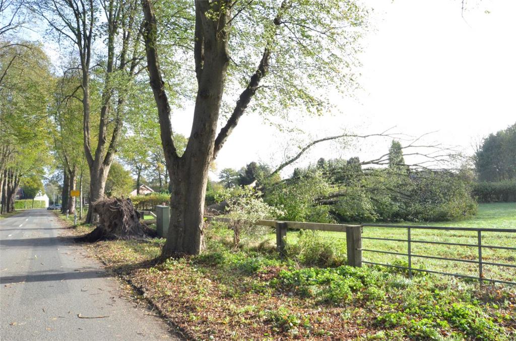 Bäume liegen flach zwischen Sellstedt und Loxstedt. Foto: Fixy