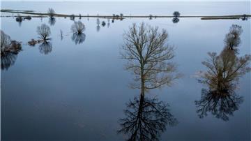 Bäume stehen auf einer unter Wasser stehenden Wiese und spiegeln sich in der Wasseroberfläche.