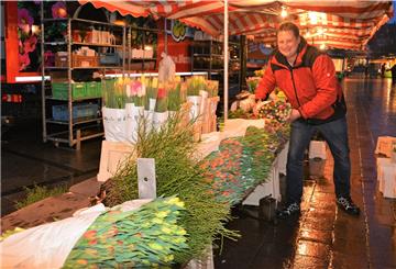 Bastian Peters sorgt dafür, dass die Blumen und Pflanzen nach Farben und Sorten sortiert am richtigen Platz in der Auslage landen.