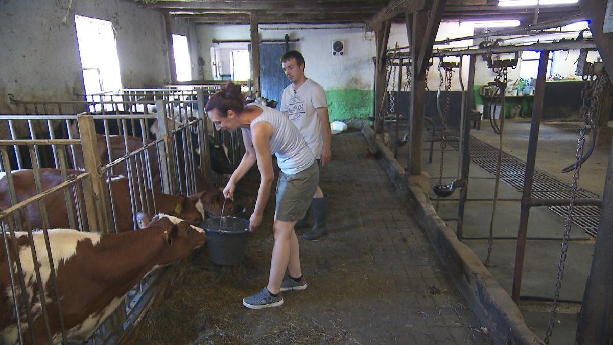 "Bauer sucht Frau": Christopher aus Lintig ist begeistert von Jenny.