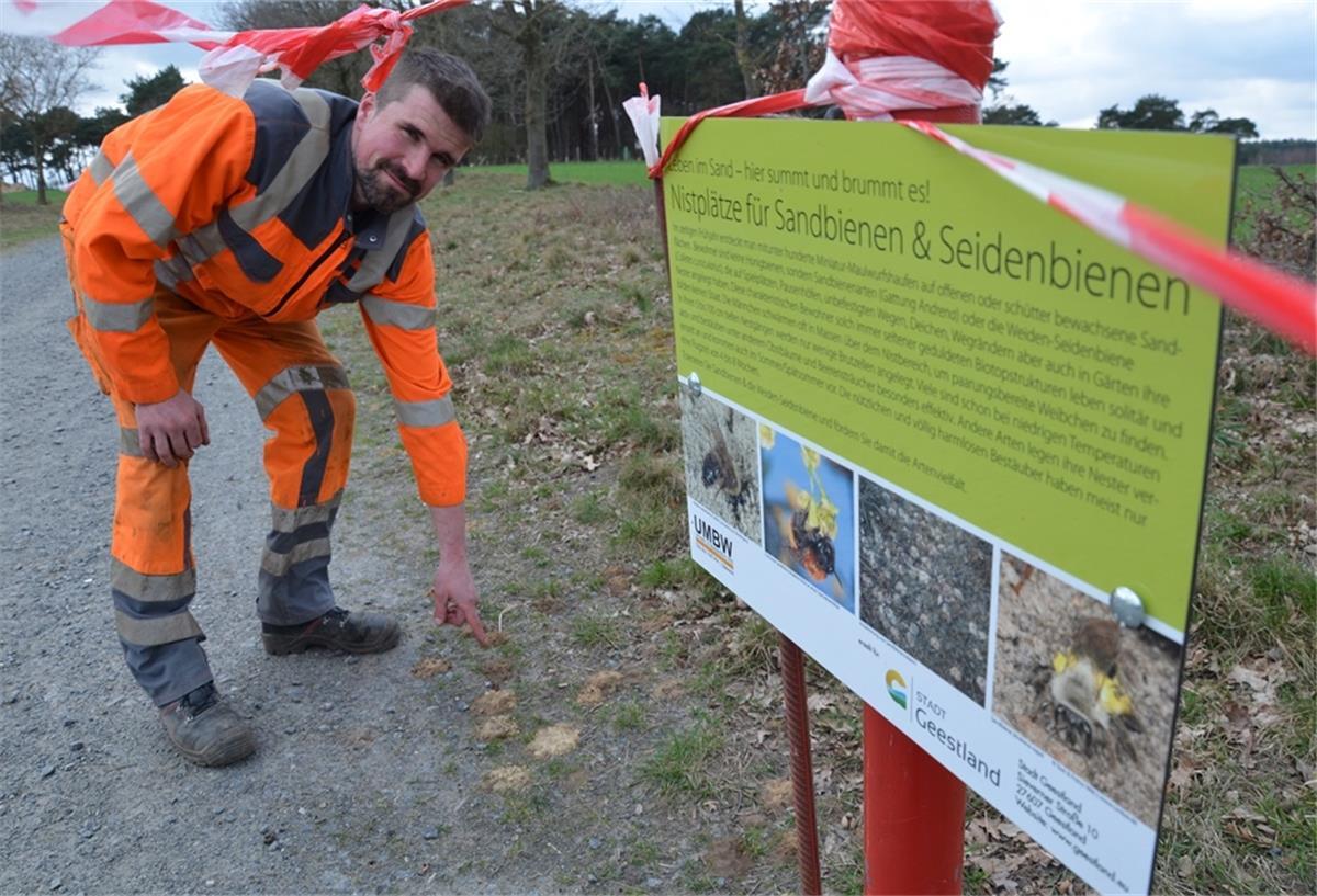 Bauhofmitarbeiter der Stadt Geestland haben in Kührstedt eine Absperrung zum Schutz von Wildbienen installiert. 