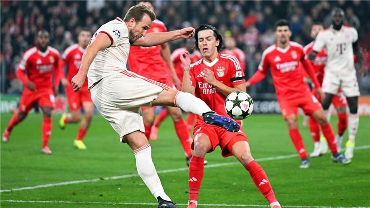 Bayern-Torjäger Harry Kane beim Schuss.