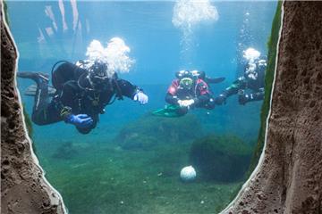 Befreien das Eisbärbecken im Zoo am Meer von Algen: Sporttaucher aus Bremerhaven.