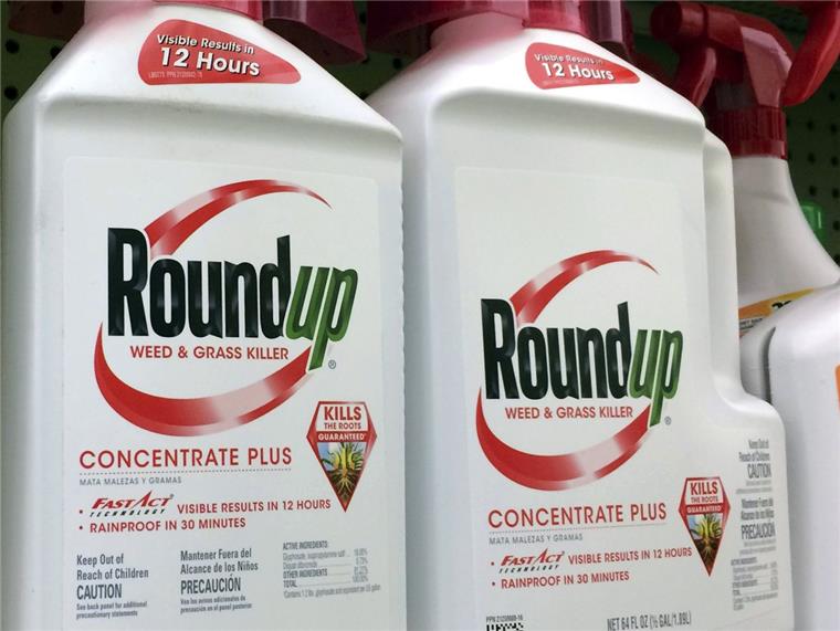 Behälter mit Roundup, einem Unkrautvernichter von Monsanto, stehen in einem Regal in einem Baumarkt in Los Angeles. 