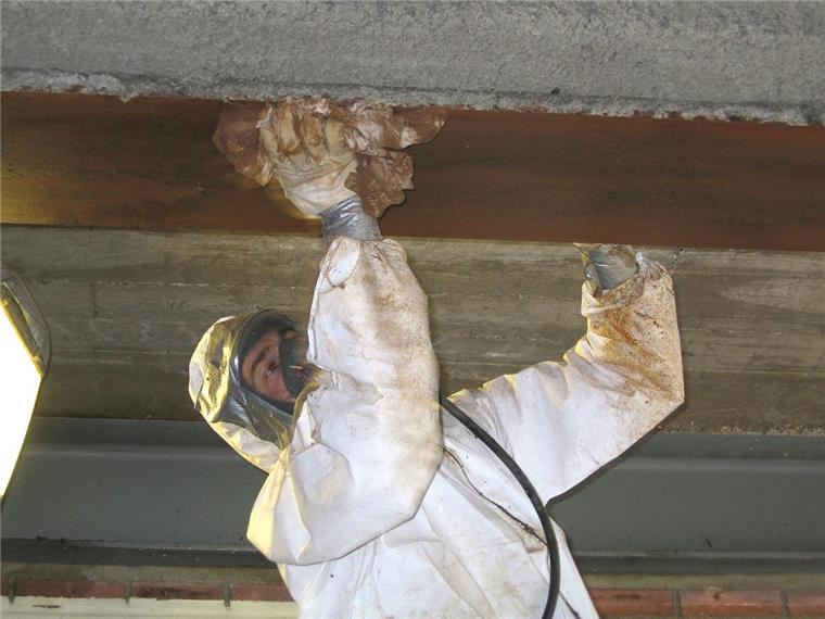 Asbest in Bremerhaven: Gewoba rechnet mit jahrelangem Sanierungszeitraum Bei Bauarbeiten wird Asbest gefährlich. Dann lösen sich die Fasern aus den Baustoffen, in denen sie bis dahin gebunden sind. Deshalb ist das ein Job für Spezialisten.