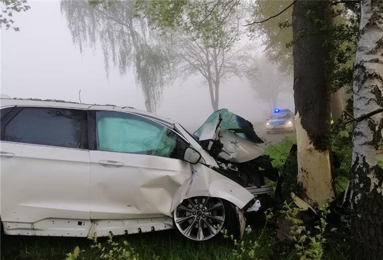 Bei dem Unfall zwischen Godenstedt und Seedorf entstand Totalschaden am Fahrzeug der Autofahrerin. 