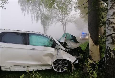 Bei dem Unfall zwischen Godenstedt und Seedorf entstand Totalschaden am Fahrzeug der Autofahrerin. 