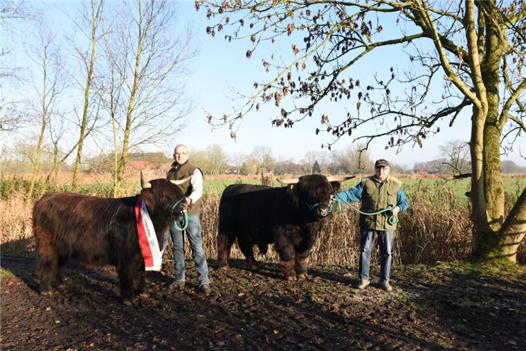 Bei der „Cloppenburg Open” wurden „Pamela vom Höhneroog“ (vorderes Tier) und „Jamie of Yarchester“  aus der Zucht von Sven (rechts) und Helmut Frerichs (links) aus Ueterlande ausgezeichnet.