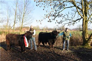 Bei der „Cloppenburg Open” wurden „Pamela vom Höhneroog“ (vorderes Tier) und „Jamie of Yarchester“  aus der Zucht von Sven (rechts) und Helmut Frerichs (links) aus Ueterlande ausgezeichnet.