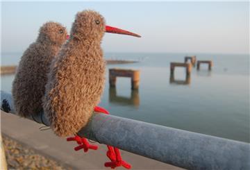 Bei der „Gezeiten“-Eröffnung ist Theda Garnholz mit ihren Strickvögeln dabei. Sie bilden auch das diesjährige Titelbild der Kunst- und Kulturwochen - passend zum Motto „Begegnungen am Meer“.