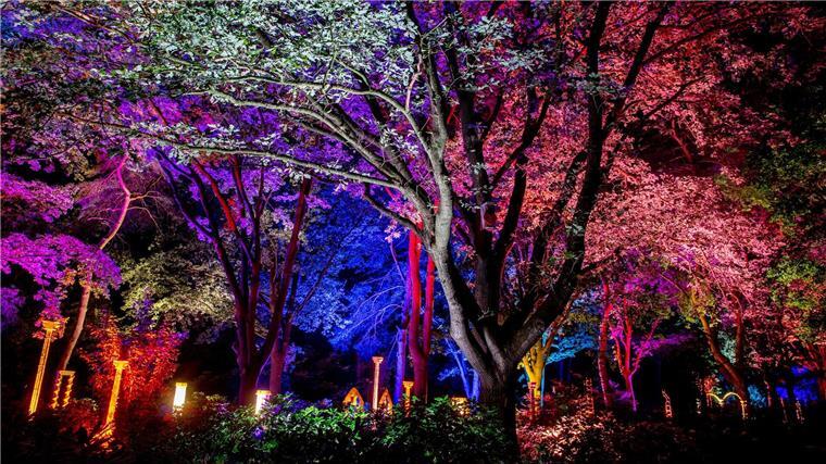 Park der Gärten lockt mit „Lichtzauber“ an Spätsommerabenden Bei der Illumination werden im Park auch Gärten, Bäume, Sträucher und Wege angeleuchtet.