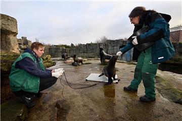 Bei der Inventur im Zoo am Meer in Bremerhaven werden auch 2020 die Tiere gezählt und gewogen.