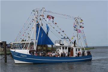 Bei der Kutterregatta in Fedderwardersiel genossen die Besuchern die Ausfahrten. 