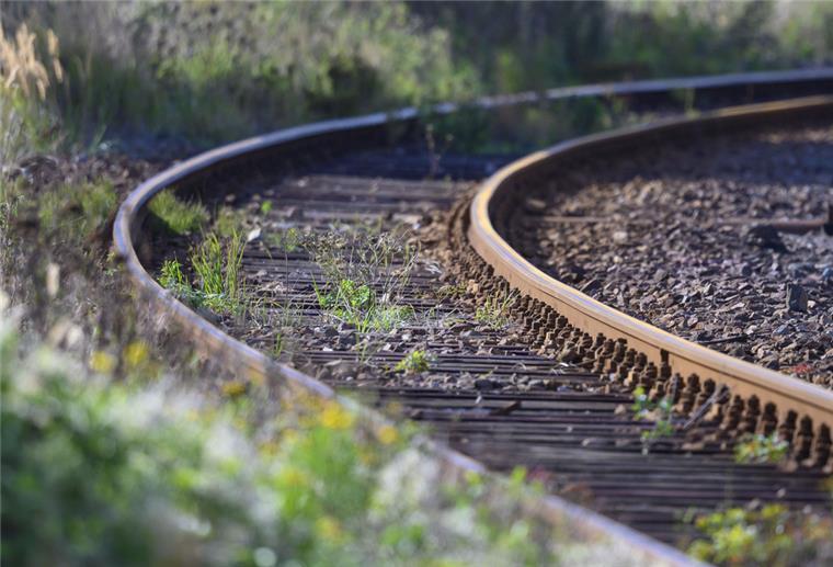 Pro Bahn fordert: Mehr Bahnstrecken in Niedersachsen reaktivieren Unkraut wächst zwischen den Gleisen auf dem Gelände eines Bahnhofs.