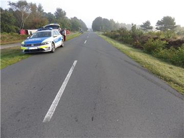 Bei einem Verkehrsunfall im Cuxland wurden drei Pferd aus dem Anhänger geschleudert. Zwei verendeten, eines überlebte verletzt und musste tierärztlich versorgt werden.