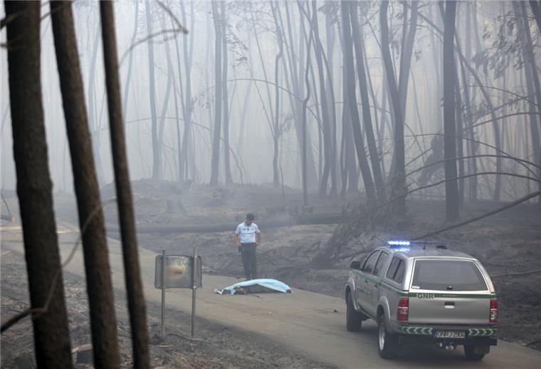 Bei einem Waldbrand in Portugal sind mindestens 62 Menschen gestorben.